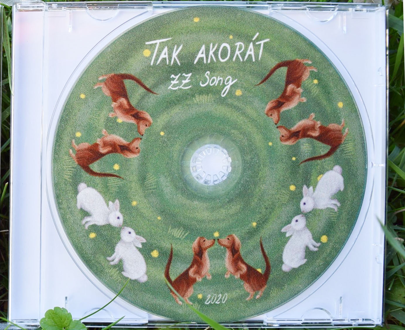 Obal na CD pro ZZ song - ukazka 1